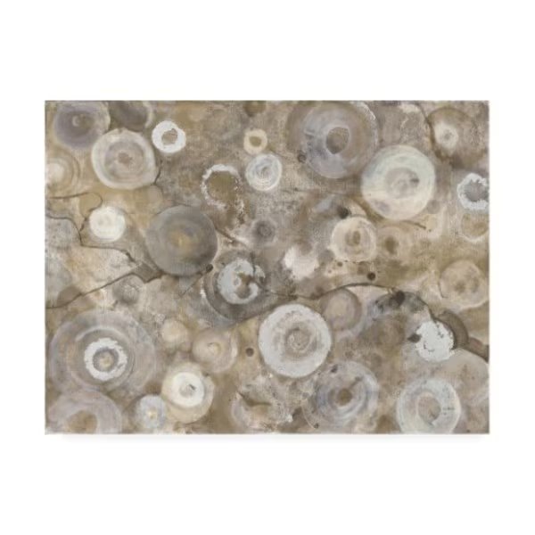 Albena Hristova 'Neutral Agate' Canvas Art, 14x19, Trademark Fine Art, Mfr#: WAP10489-C1419GG
